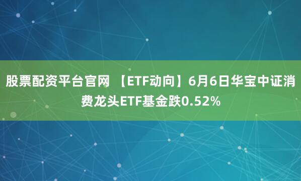 股票配资平台官网 【ETF动向】6月6日华宝中证消费龙头ETF基金跌0.52%